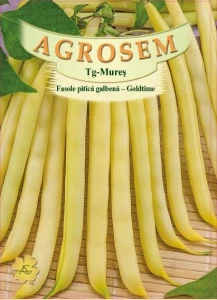 Goldtime 500g - Seminte de Fasole pitica galbena, soi timpuriu, fara ate, Agrosem